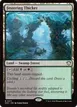 Festering Thicket #371