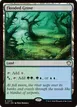 Flooded Grove #373