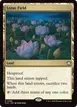 Lotus Field #385