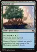 Tangled Islet #411