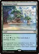 Yavimaya Coast #425