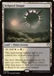 Eclipsed Steppe #53