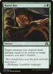 Rabid Bite #223