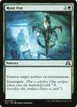 Root Out #224