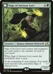 Sage of Ancient Lore // Werewolf of Ancient Hunger #225
