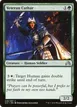 Veteran Cathar #238