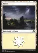 Plains #284