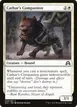 Cathar's Companion #9