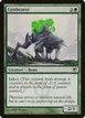 Cystbearer #117