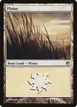 Plains #230