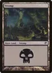 Swamp #240