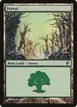 Forest #247