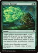 Burrog Barrage #141