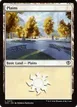 Plains #273