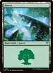 Forest #281