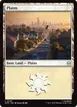 Plains #194
