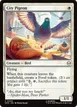 City Pigeon #4