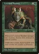 Lowland Basilisk #109