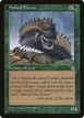 Spined Wurm #121