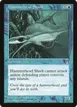 Hammerhead Shark #32