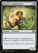 Reckless Amplimancer #141