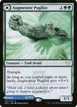 Augmenter Pugilist // Echoing Equation #147