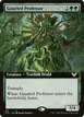 Gnarled Professor #319