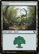 Forest #374
