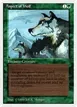 Aspect of Wolf #186