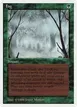 Fog #195