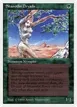 Shanodin Dryads #216