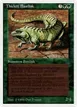 Thicket Basilisk #218