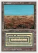 Scrubland #286