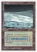 Tundra #289