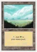 Plains #292