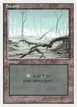 Swamp #298