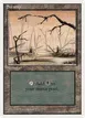 Swamp #299