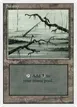 Swamp #300