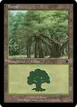 Forest #A155