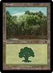 Forest #A156
