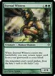 Eternal Witness #A70