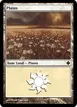 Plains #B35