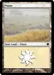 Plains #B36
