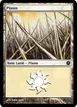 Plains #43
