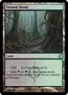 Tainted Wood #82