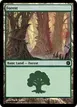 Forest #86