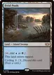 Fetid Pools #363
