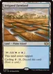 Irrigated Farmland #372