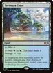 Yavimaya Coast #413