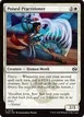 Poised Practitioner #18